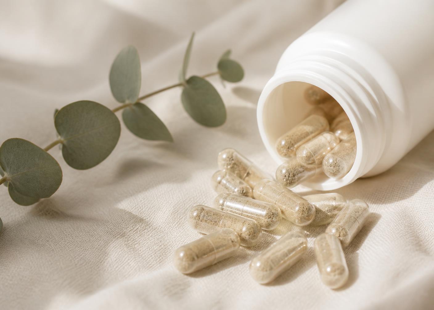 Capsules next to a eucalyptus branch